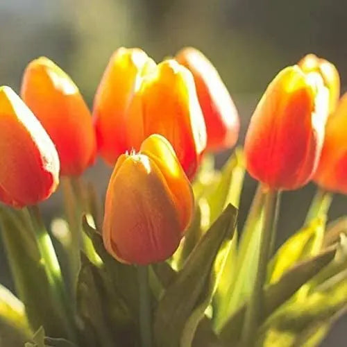 10-teilige Set künstlicher Tulpen aus Latex – stilvolle und langlebige Dekorationsblumen