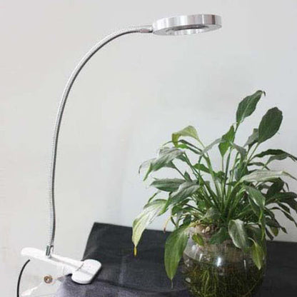 Kreative einfache USB-Hosenknopf-LED-Lese-Clip-Schreibtischlampe