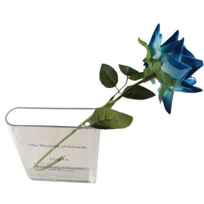 Acryl Buch Vase – modernes Design mit unsichtbarem Buchlook