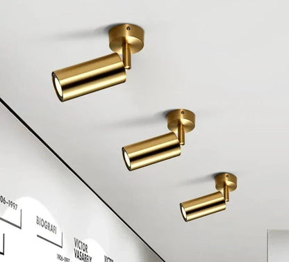 Moderne schwenkbare LED-Deckenleuchte in Gold – Verstellbare Beleuchtung für Wohn- und Arbeitsbereiche