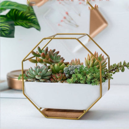 Einfacher achteckiger geometrischer Wandtisch Sukkulentenplatte mit Bambusstütze und Eisenrahmen Blumentopf (Gold)