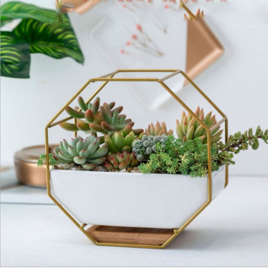 Einfacher achteckiger geometrischer Wandtisch Sukkulentenplatte mit Bambusstütze und Eisenrahmen Blumentopf (Gold)