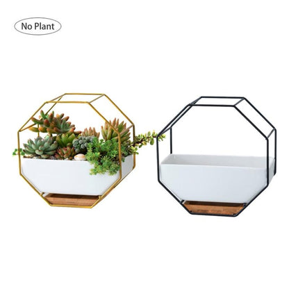Einfacher achteckiger geometrischer Wandtisch Sukkulentenplatte mit Bambusstütze und Eisenrahmen Blumentopf (Gold)