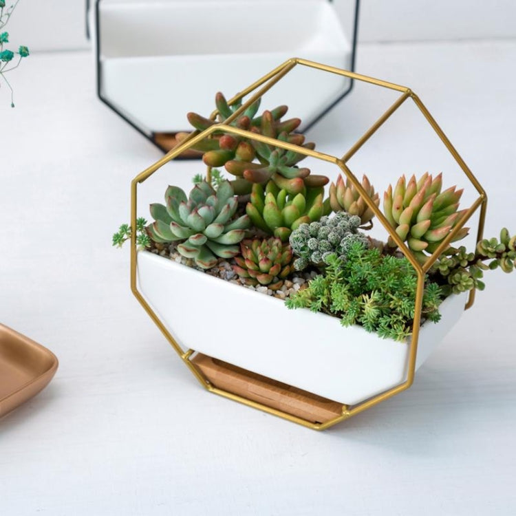 Einfacher achteckiger geometrischer Wandtisch Sukkulentenplatte mit Bambusstütze und Eisenrahmen Blumentopf (Gold)