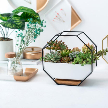 Einfacher achteckiger geometrischer Wandtisch Sukkulentenplatte mit Bambusstütze und Eisenrahmen Blumentopf (Gold)