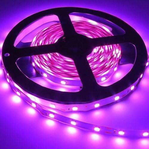 3528 LED Streifen Licht 12V 5M 300 Leds - Stellen Sie sicher, dass das Detail perfekt ist