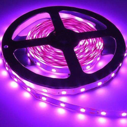 3528 LED Streifen Licht 12V 5M 300 Leds - Stellen Sie sicher, dass das Detail perfekt ist
